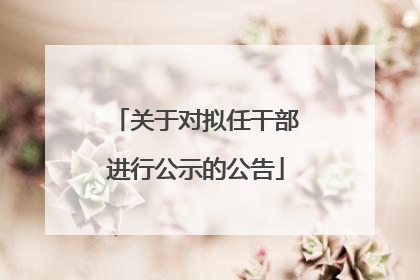 关于对拟任干部进行公示的公告